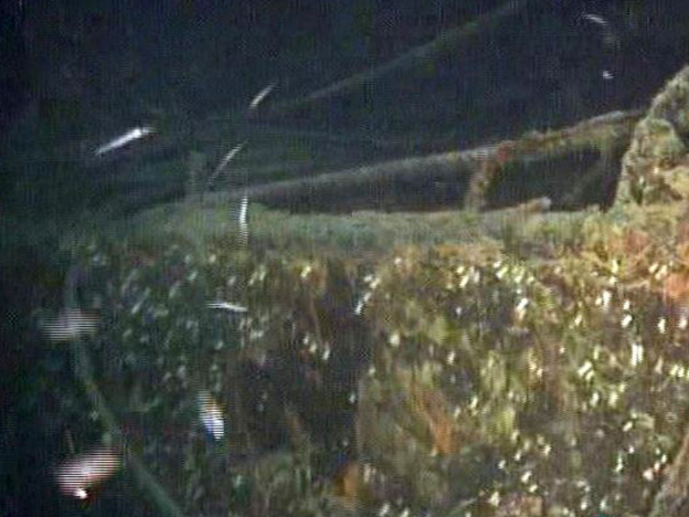 Il relitto trovato al largo di Cetraro in un’immagine subacquea ANSAFOTO 