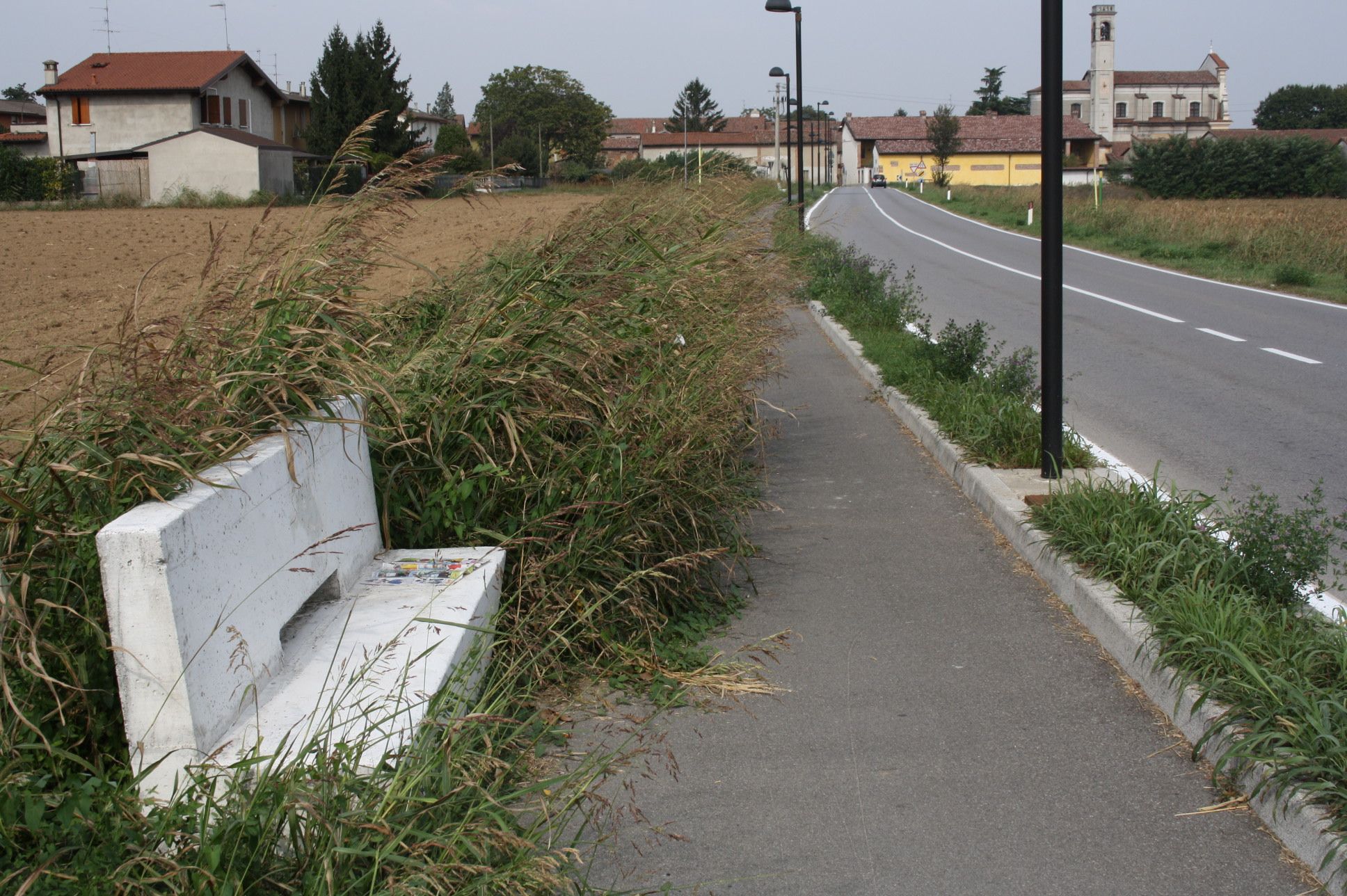 Le erbacce lungo la pista ciclabile a Dello