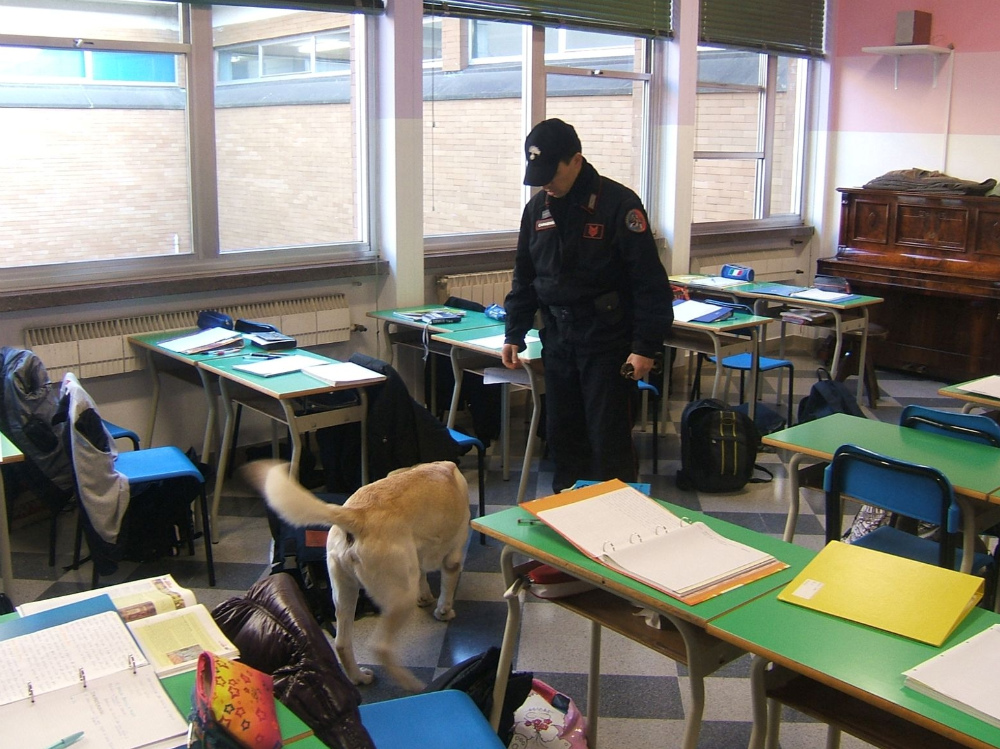 I cani dei carabinieri a scuola
