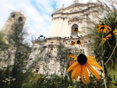 Il duomo sullo sfondo dei «giardini» allestiti in piazza Paolo VI FOTOLIVE